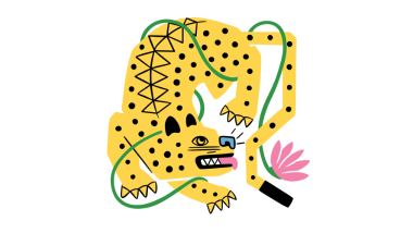 Gato Exotico