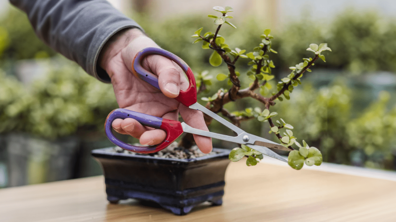 Bonsai Bar Class at Rail Stop - Boston Restaurant News and Events